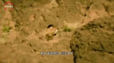 韩国美女看《红海行动》，表示票房太低，结果换成韩币大惊失色！