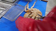 2100多的帝王蟹，老师傅用来做刺身，看饿了