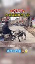 高手在民间！大爷自制“机器牛”拉车，上街遛弯太拉风