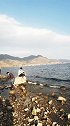 大理洱海风景区
