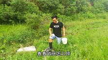 小伙小溪抓野味，翻开石头高兴坏了，没想这里还有龙虾