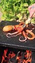 在石板上烤个八爪鱼，味道只有一个字，就是：香！