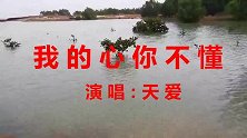 在夜深人静时，我在自言自语，你不要奇怪，其实《我的心你不懂》