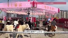 西安一景区旋转木马升级成“旋转真马”，游客：很震惊，从来没见过