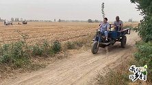 儿媳开农用三轮车拉麦，路上被村里人笑话，回到家婆婆夸她真能干