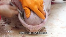 大叔处理46斤大牛头，1分钟剥下整张牛头皮，这刀工有点东西！