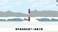 猪屁登：这次奶奶因小失大了吧，刚到手的打折鸡蛋摔得一个不剩
