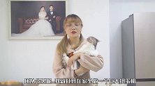 女主人玩扭蛋上瘾，自制猫咪扭蛋机，能扭到真猫！