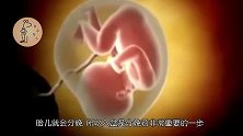 到了孕晚期，这两种坐姿可能会让胎儿“入盆晚”，孕妈别大意