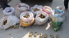 气愤！偷3162个暖气阀案值数百万 三冒牌“装修工人”被抓
