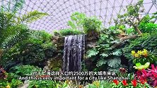 老外讲故事·海外员工看中国丨万吉尔：让蒙特利尔与上海的“友谊之花”绽放，让人与植物的联系更紧密，是此生最想做的事