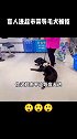 盲人带导盲犬进超市被拒，超市：导盲犬也是狗