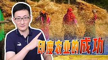 印度停止小麦出口引关注，有14亿人口的大国，为啥还有余粮出口