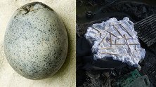 考古学家发现4个1700年前完整“臭鸡蛋” 手一滑摔碎3个