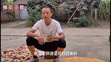 小霞收到神秘快递，拆开一看妈妈说还是闺女好，小霞没女儿该咋办