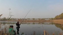 远景拍摄，几十亩的窑坑野钓鲫鱼