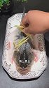 清蒸鲈鱼，这道菜只能在餐厅吃，我教你在家吃！