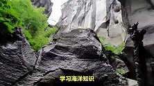 台州一日游必去景点，台州有什么好玩的地方旅游景点？