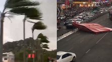 超强阵风突袭南宁：路边大树被连根拔起，街头市民寸步难行