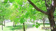 真人和平精英，肉肉捡到6把装备却被伏击，一招千手观音轻松制敌