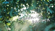 总裁厨房第十一集