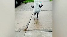 雨停了，终于可以出门了，宝宝乐开了怀！