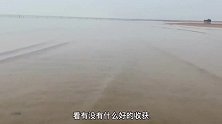 大海退潮后，在沙滩上捡到被泥螺卵困住的小鱼，太贪吃了