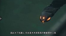 Eelume仿生机器蛇，可完成各类水中工作