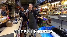 500斤金枪鱼切割秀，一刀下去一个月工资没了，肉质太美了