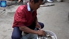 小池赶海捡到2桶大生蚝，回家煮了一大锅，吃生蚝大餐
