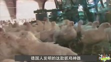 德国人发明“抓鸡”神器，一小时捉8000只，鸡：根本跑不掉！
