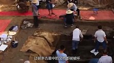 陕西山村挖到长乐公主墓，发现盗墓贼无耻行为，专家：禽兽不如