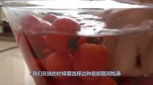 买圣女果，选圆的还是尖的果农：教你3招，个个酸甜多汁又新鲜