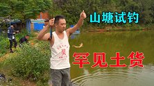 荒废6年山塘蚯蚓试钓，大货不断，意外出现罕见土货，小伙乐坏了