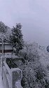 天子山的雪景