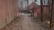 喜剧：小姑子要生孩子，小麦拉着驾车子带她去兽医院，结局太逗了
