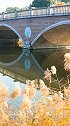 一首老歌《情人桥》真好听