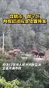 云南15头北迁亚洲象群连夜进入昆明市辖区！