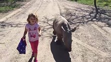 小女孩路遇小犀牛宝宝，彼此都高兴坏了，走一路玩一路，如此和谐