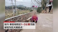2岁女婴因狂犬病离世：曾被野狗扑倒 家附近3公里划为疫点