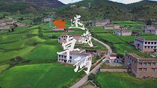 实力宠粉！她翻山越岭挖松茸，就地煮给粉丝吃