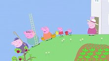 小猪佩奇：猪妈妈去摘黑莓，把自己搞成了黑莓公主，需要王子来救