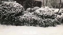 雪球泥史莱姆，下雪超级冷，宝宝们照顾好自己注意身体哦