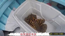 老外出海收鱼笼，大龙虾爆笼，这一趟收益好几万！
