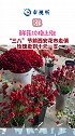 “三八”节前西安 花市走俏，玫瑰卖到十元一只！