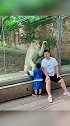 当狮子遇到话痨小朋友，竟然是这种反应，太搞笑了！