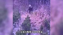 江苏一公墓80个公用祭扫铁盆被偷50多个，警方已立案
