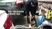 猫：救命呀！风机马上变绞肉机！猫 流浪猫