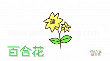 植物简笔画大全，画Q版百合花简笔画