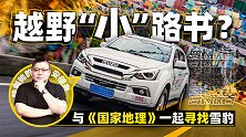 越野“小”路书？与《国家地理》一起寻找雪豹 | 萝卜报告